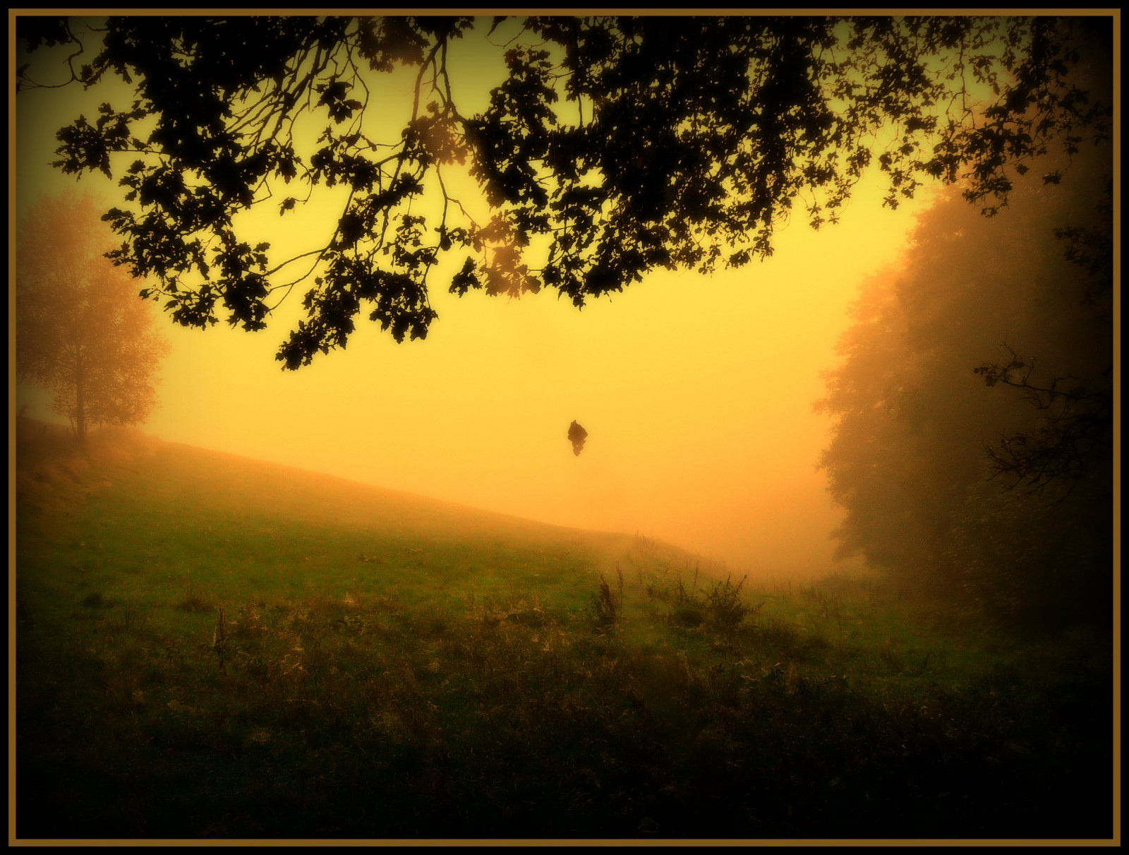 slunečnímu záření, krajina, podzim, západ slunce, Příroda, nebe, svítání, večer, ráno, Německo, slunce, atmosféra, kolínská, UMĚNÍ, mrak, strom, podzim, mlha, list, svítání, tma, tvořivý, anawesomeshot, Soe, theunforgettablepictures, aplusphoto, golddragon, platinumphoto, megashot, Oberberg, vanagram, magicdonkeysbest, the4elements, themoulinrouge, atmosférický jev, počítač tapeta