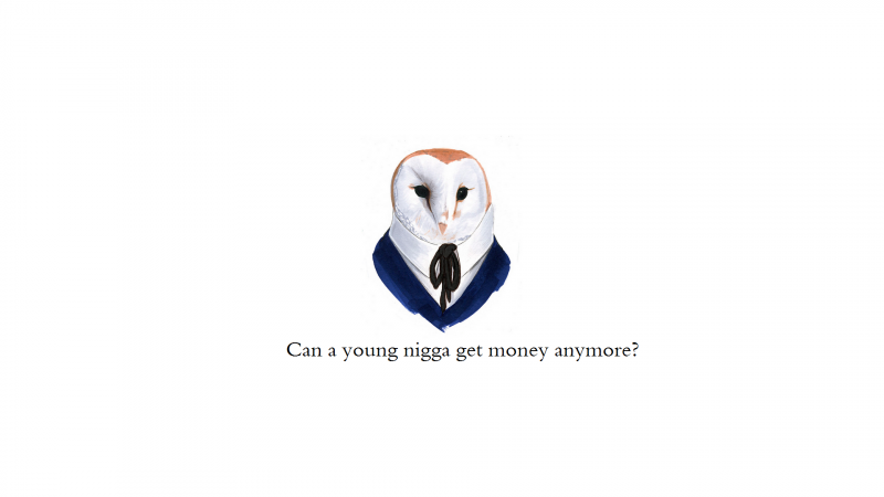 quote, digital art, animals, simple background, minimalism, humor quote, digital art, animals, simple background, minimalism, humor