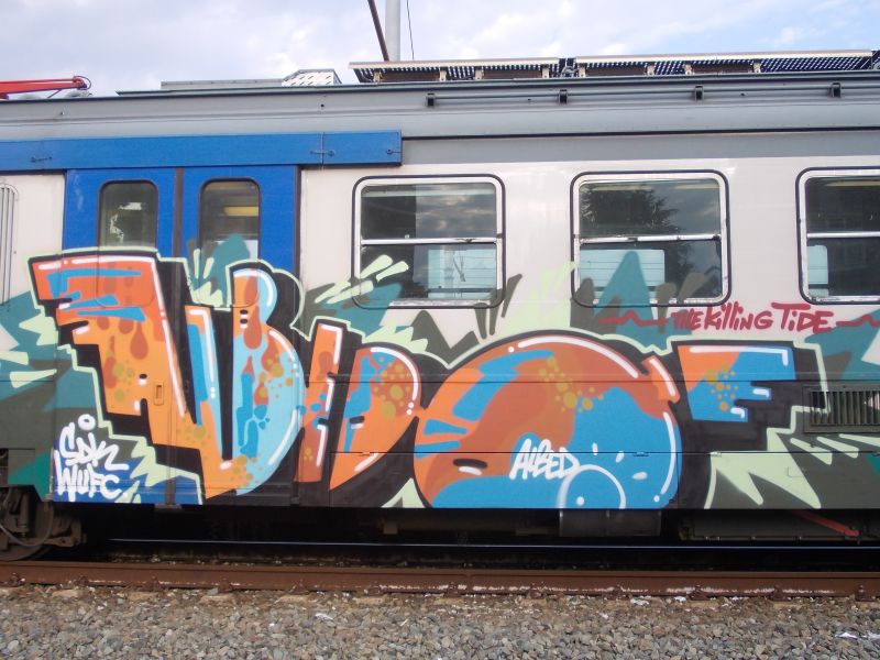 pojazd,pociąg,Graffiti,Sztuka uliczna,pisanie,Torino