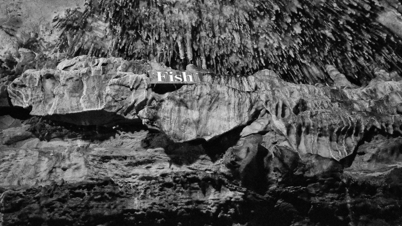 Černý a bílý, Skála, monochromatické fotografování, Formace, jádro, geologie, neočekávaný výskyt, černobílý, geologický fenomén, strom, sráz, jeskyně, práh, badlands, Chyba, magmatická hornina, národní park, krajina