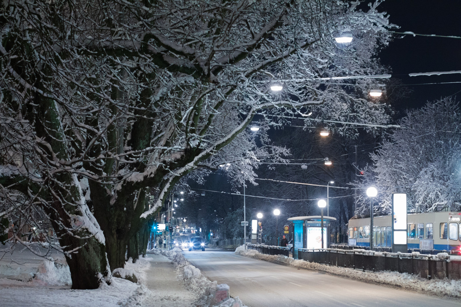 Wallpaper : blue, winter, light, people, snow, tree, cars, Canon ...