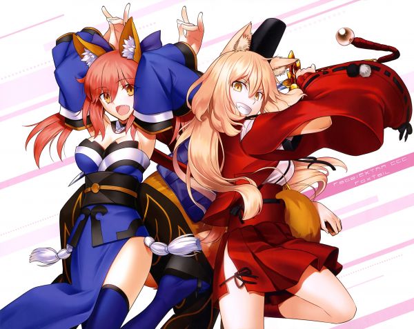 illustration,anime,animal ears,cartoon,Fate Series,Fate Extra