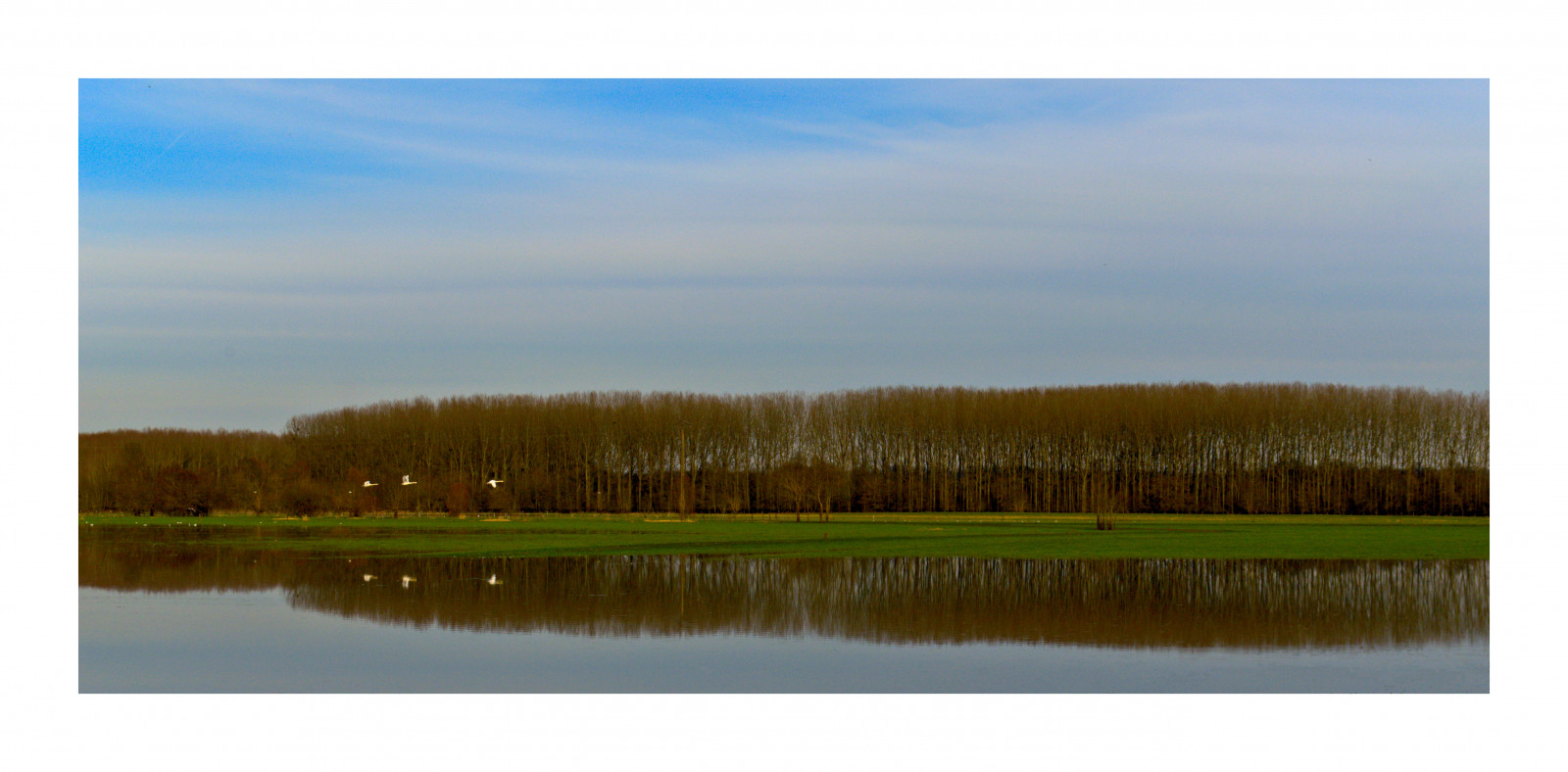 การสะท้อน, Nikon, ดาวอังคาร, 2015, ทุนดรา, พื้นที่ชุ่มน้ำ, ทุ่งหญ้า, ทุ่งหญ้า, ที่ราบ, d5100, ทุ่งหญ้า, cygnes, บึง, ถิ่นที่อยู่, สภาพแวดล้อมทางธรรมชาติ, ปรากฏการณ์บรรยากาศ, ระบบนิเวศ, ครอบครัวหญ้า, envol, maineetloire, Rando, ความไม่เหมาะสม, ความโกรธ, cheffes