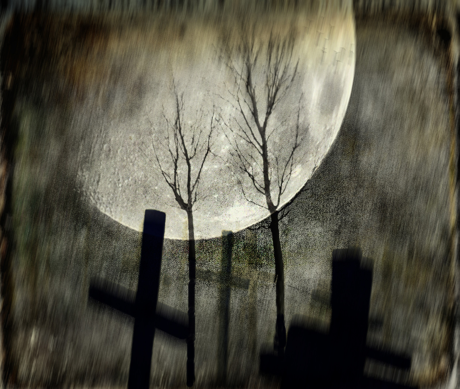 slunečnímu záření, stromy, Photoshop, Příroda, odraz, stín, fotografování, dřevo, Měsíc, ráno, Kánon, textura, přejít, světlo, strom, podzim, list, rozmazat, hřbitov, tma, texturedlayers, jackaloha2, photoshopcs5, východ měsíce, dřevina, zblízka, canoneosdigitalrebelxsi, baretrees