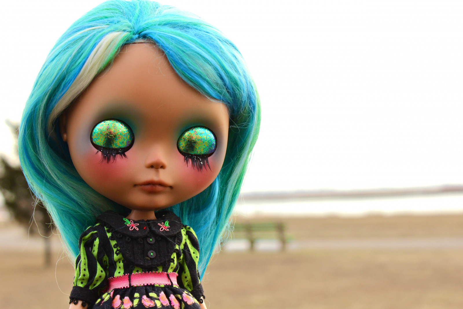 tvář, Čína, modrý, vlasy, opálení, Hračka, růžový, kůže, panenka, oblečení, hlava, Zvyk, Blythe, barva, dítě, oko, lilie, účes, orgán, batole, RBL, pomme, chinalily, chinalilly