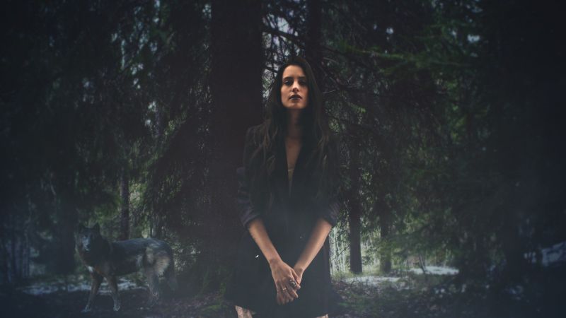 slunečnímu záření, les, ženy, fotografování, půlnoc, tma slunečnímu záření, les, ženy, fotografování, půlnoc, tma