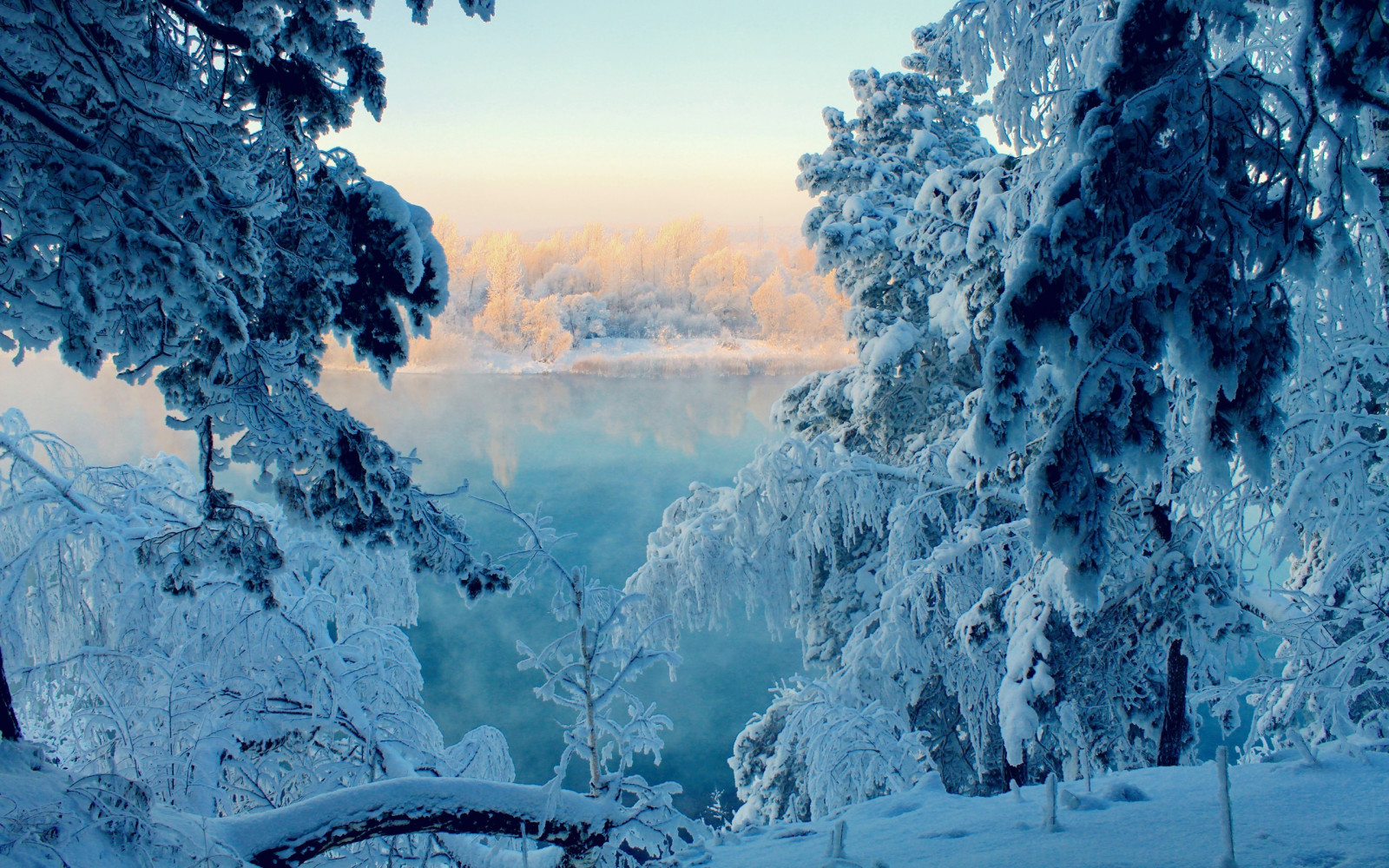 Wallpaper Landscape Forest Nature Reflection Snow Winter Ice 