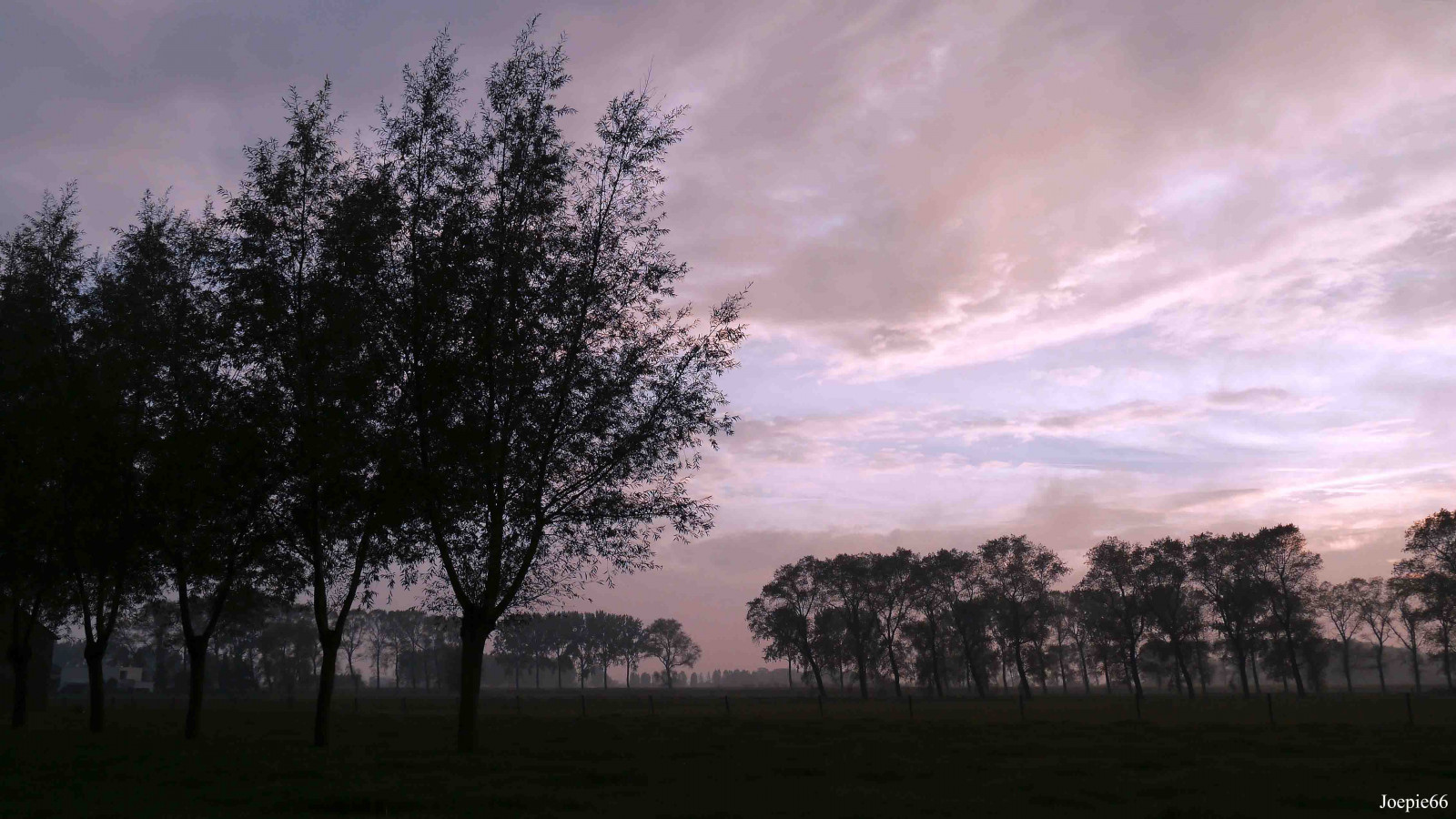 Wallpaper sunlight, landscape, sunset, nature, sky, sunrise, evening, morning, mist