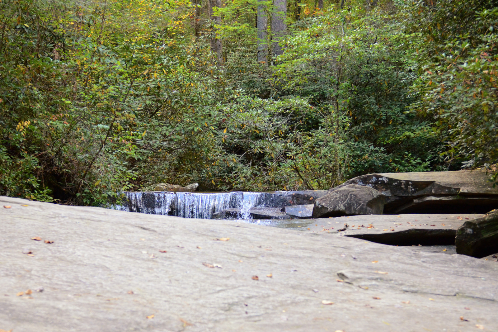stromy, krajina, les, hory, voda, Skála, tráva, park, venku, stůl, řeka, Spojené státy americké, proud, turistika, Carolina, strom, list, skalnatý, túra, rostlina, nás, vodní tok, stezka, jižní, prohlídka, turista, zátoka, jižní, Stát, prohlížení památek, zálesí, geologie, vodní prvek, mrzutý, národní park
