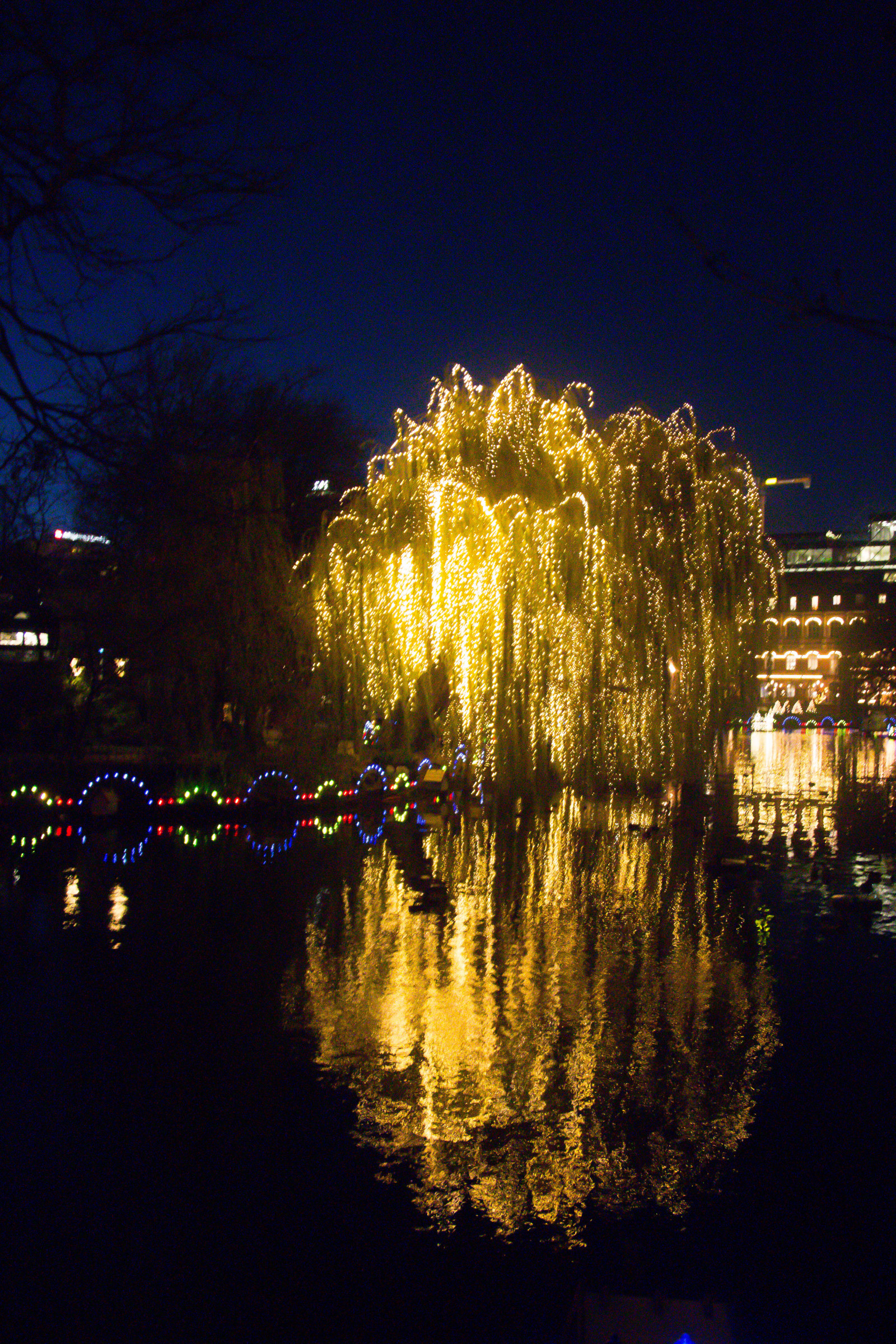 luce del sole, tramonto, paesaggio urbano, notte, riflessione, sera, Natale, crepuscolo, Danimarca, Copenhagen, leggero, albero, fiore, natale, illuminazione, luglio, Danmark, k penhamn, tivoli, oscurità, kopenhavn