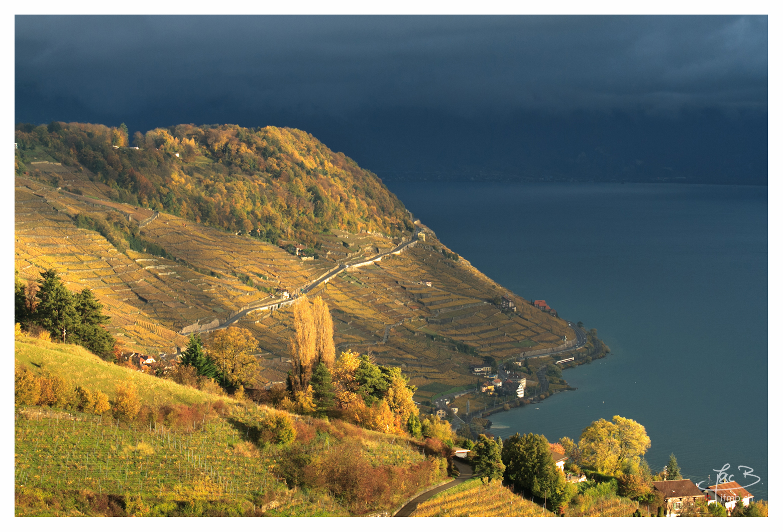 podzim, jezero, automne, Schweiz, Švýcarsko, suisse, víno, Lumiere, Herbst, mléko, atmosféra, uNESCO, vinice, vin, paysage, milenka, vignoble, vigne, Atmosféra, Lavaux, Grandvaux, wwwifmbch