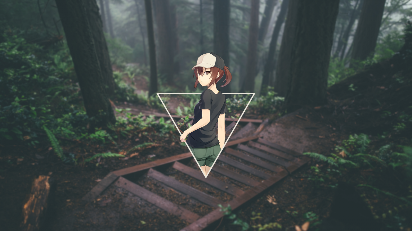 Wallpaper : sunlight, forest, anime girls, nature, minimalism, blurred