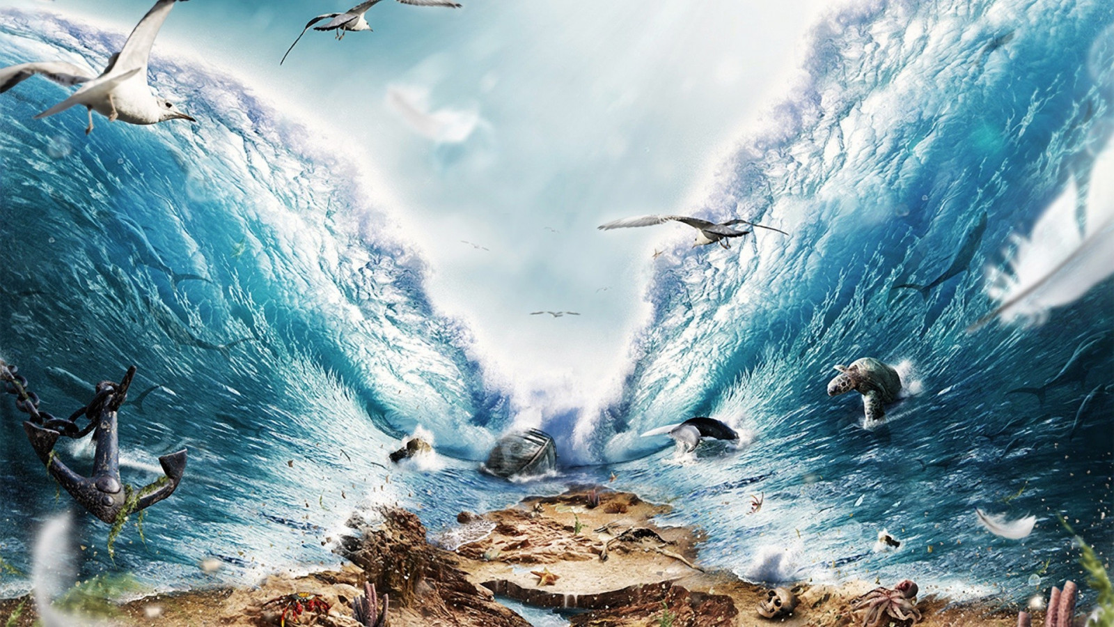 Sport, Tiere, Meer, Wasser, Springen, Kunstwerk, Wellen, Küste, Unterwasser, Terrain, Ozean, Welle, 1920x1080 px, Computer-Tapete, Windwelle, Extremsport
