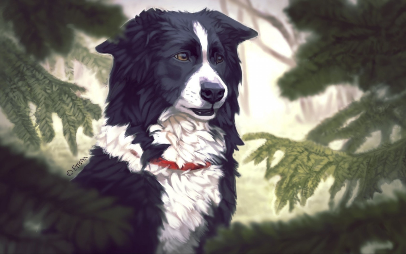 Wallpaper fir, Border Collie, ART, tree, vertebrate, dog like mammal