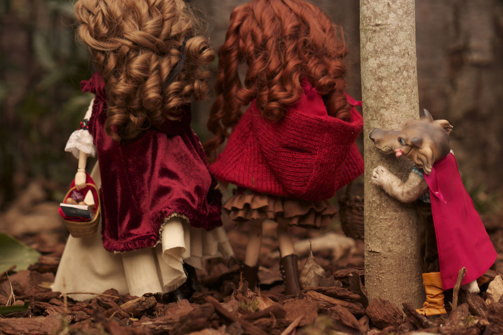 chrám, Červené, kapuce, Alice, vlk, Vánoce, panenka, romantický, ra, růž, strom, jezdectví, rostlina, plný, tradice, drážka, pullip, obitsu, rewigged, vánoční dekorace, custo, rechipped, fc, petit, betlém, hedvábní maska, BRH, Lrrh, Caperon