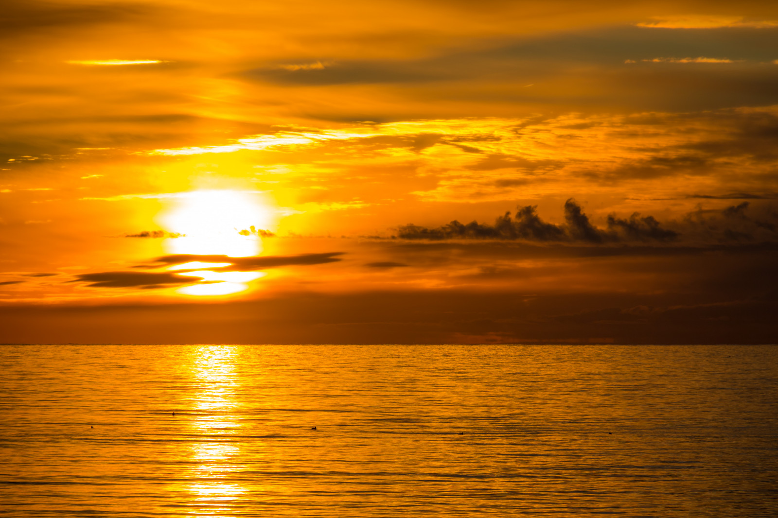 sollys, solnedgang, hav, vand, afspejling, himmel, vinter, solopgang, aften, morgen, kyst, Sol, horisont, atmosfære, skumring, Sol, Sky, daggry, ocean, himmel, solnedg ng, Vatten, vinter, hav, Moln, exif model canoneos760d, geocountry, kamera gør kanon, geocity, kameramodel canoneos760d, geostate, geolocation, exif linse efs18200mmf3556is, exif gøre kanon, exif isospeed 100, exif åbningen 80, Dalabadets, exif focallength 145mm, efterglød, rød himlen om morgenen