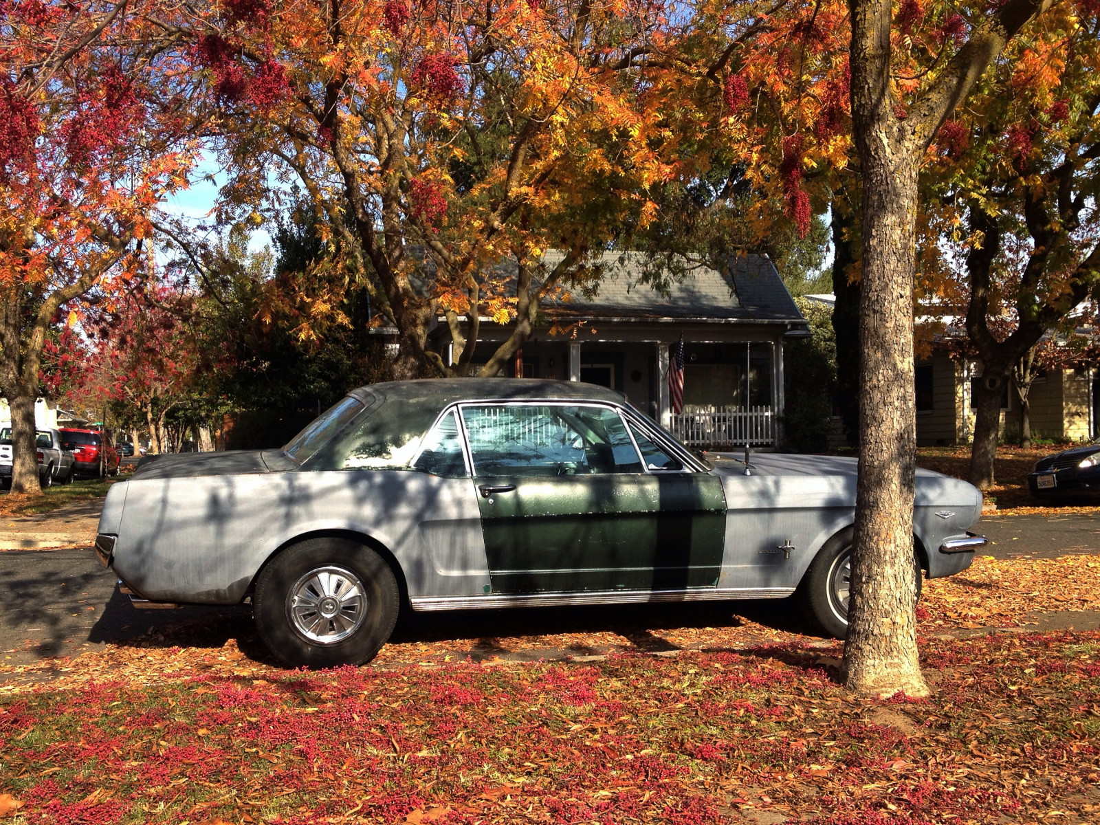 træer, landskab, efterår, blade, gade, bil, by-, rød, vinter, køretøj, grå, rust, orange, Californien, årgang, Ford, ferie, Vintage bil, kvarter, parkering, hotwheels, Sedan, postkort, 1966, Mustang, træ, efterår, farver, plante, skønhed, uploadet af flickrmobile, flickriosapp filter nofilter, klassisk, naturskøn, parkeret, bildesign, automotive exterior, luksus køretøj, familie bil, motor køretøj, Stockton, americana, fuld størrelse bil, primer