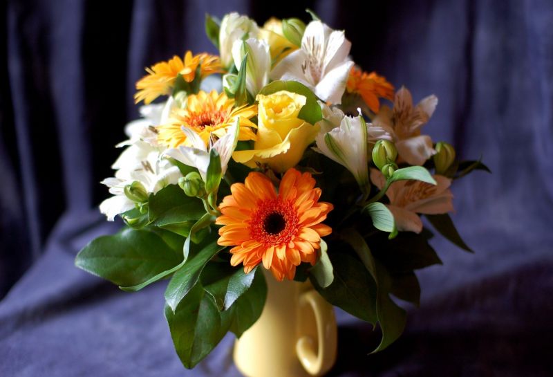 Rose, alstroemeria, fiori, le foglie, fiore, gerbera Rose, alstroemeria, fiori, le foglie, fiore, gerbera