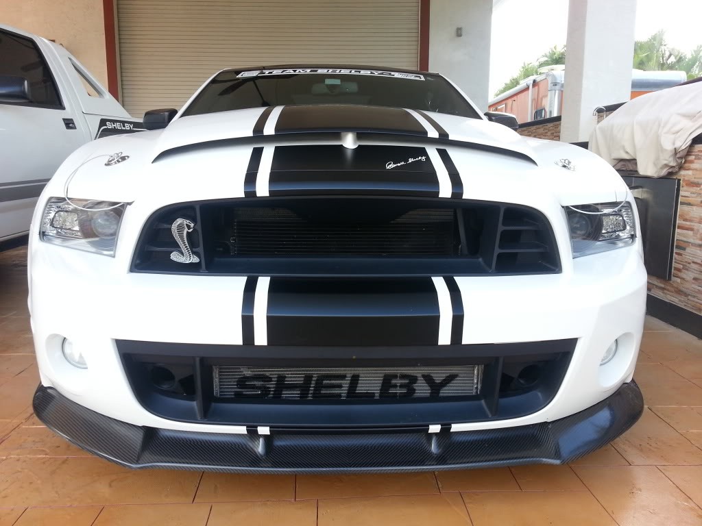 auto, vozidlo, Ford Mustang Shelby, auta svalu, sportovní auto, Brod, kolo, okraj, pozemní vozidla, automobilového designu, automobilový exteriér, automobil make, luxusní vůz, nárazník, shelby mustang, mřížka, závoďák, stock závodní auto