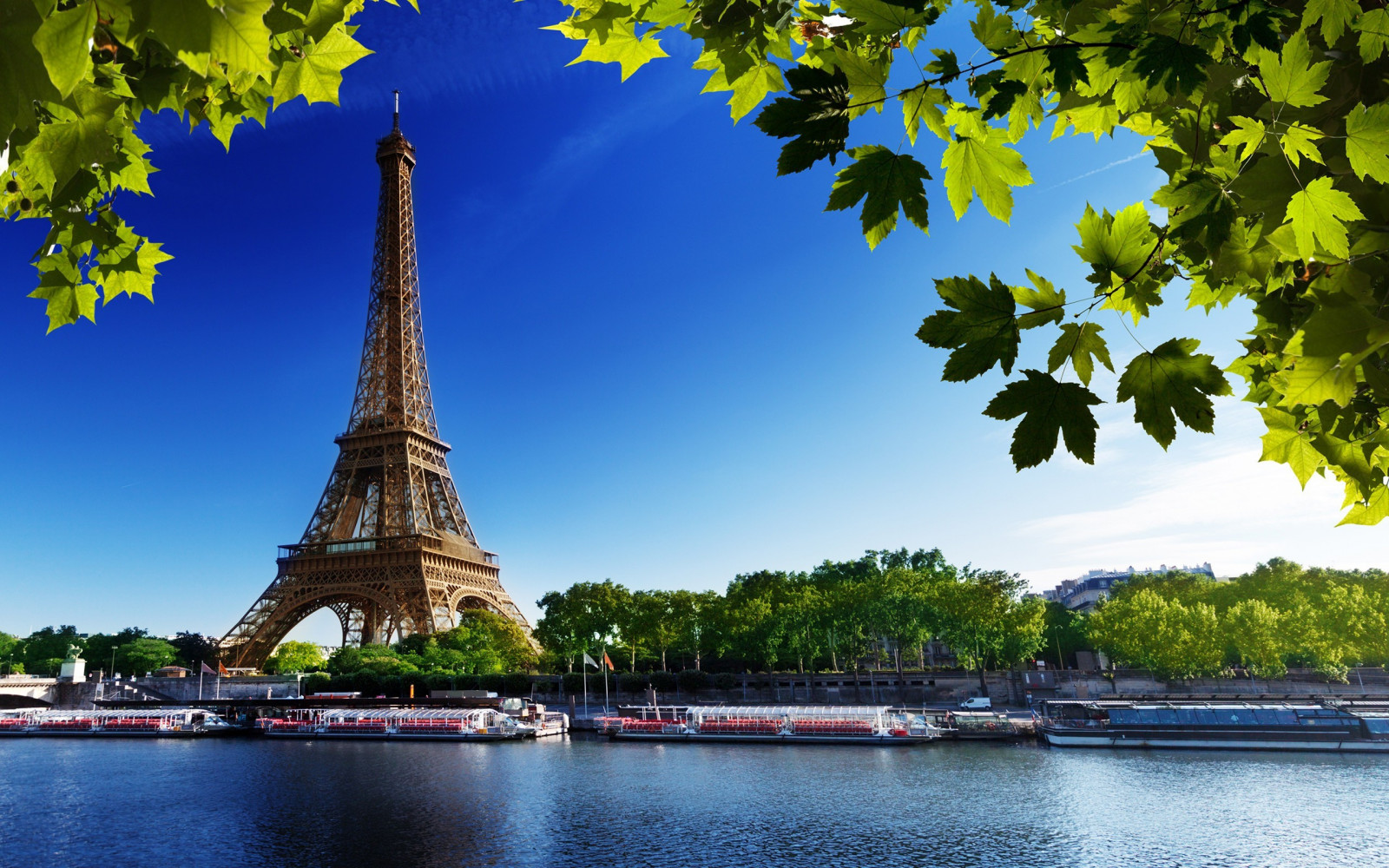 Wallpaper 2560x1600 Px Cityscape Eiffel Tower France Leaves wallpaper-2560x1600-px-cityscape-eiffel-tower-france-leaves
