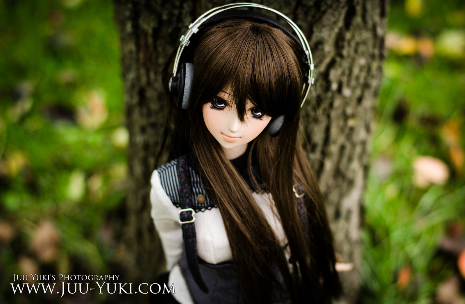 efterår, træ, efterår, græs, sæt, sølv, blad, tøj, drøm, Yuki, hovedtelefoner, brugerdefinerede, dd, Dollfie, Volks, provision, Juu, bustier, Alna, genfremstille, med forsiden opad, refaceup, remakup