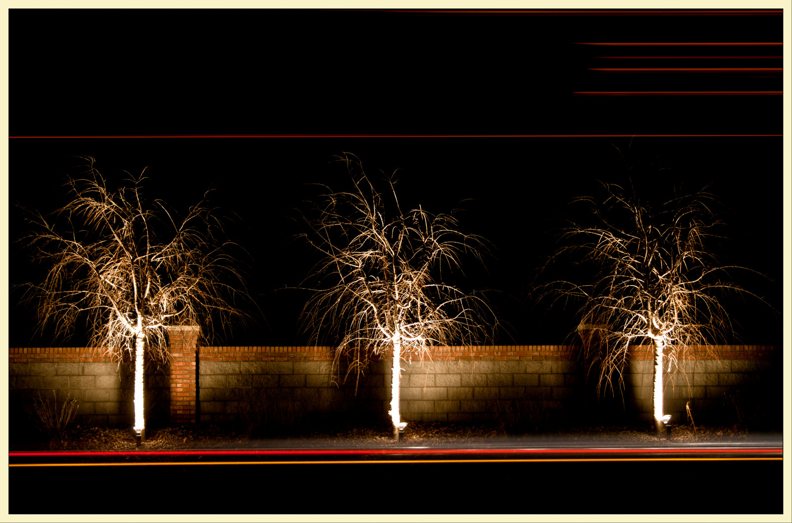Papel De Parede rvores Noite Ramo Sparkler Luz Explorar 
