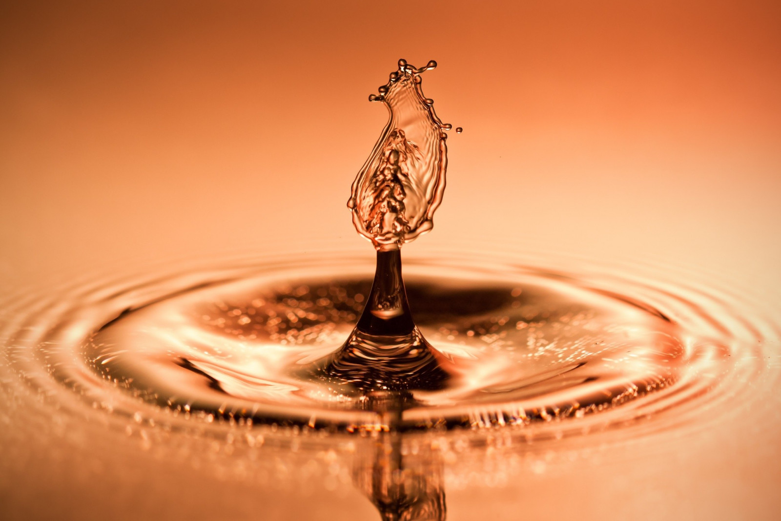 Wasser, Betrachtung, Fotografie, Wassertropfen, Makro, Wellen, Glas, Flüssigkeit, fallen, Nahansicht, Makrofotografie