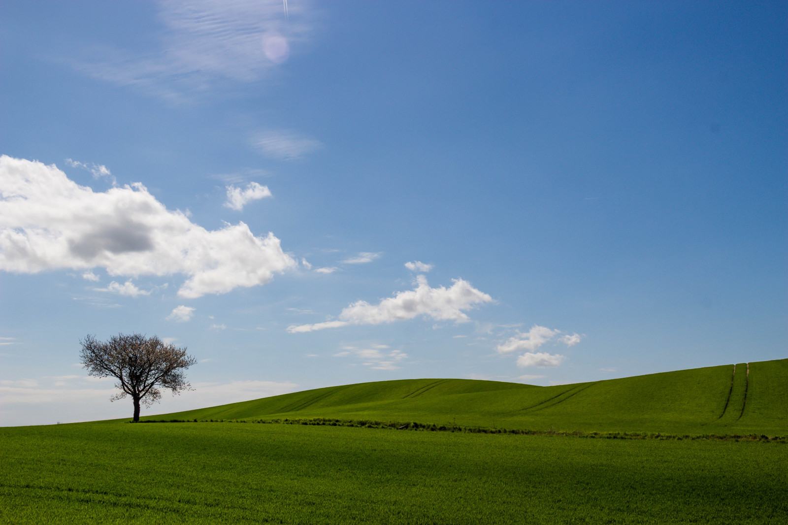 slunečnímu záření, krajina, kopec, Příroda, tráva, nebe, pole, zelená, ráno, horizont, plošina, step, mrak, strom, lučina, rostlina, tr d, ker, venkov, pastvina, f lt, landskap, gr n, podané, zemědělství, louka, prostý, trávník, prérie, venkov, místo výskytu, přírodní prostředí, ekosystém, tráva rodina