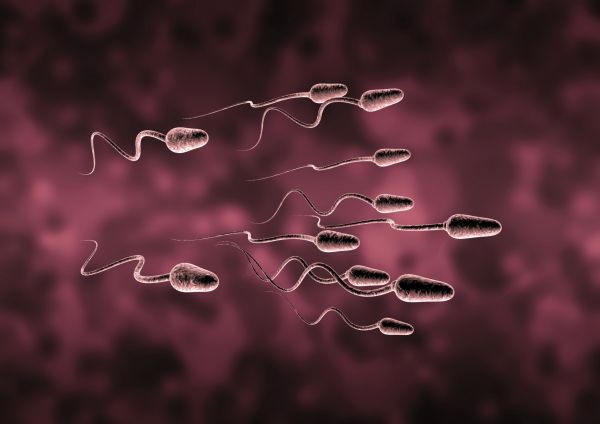 1sperm,abstract,abstraction,bokeh,cell,2061x1457 px