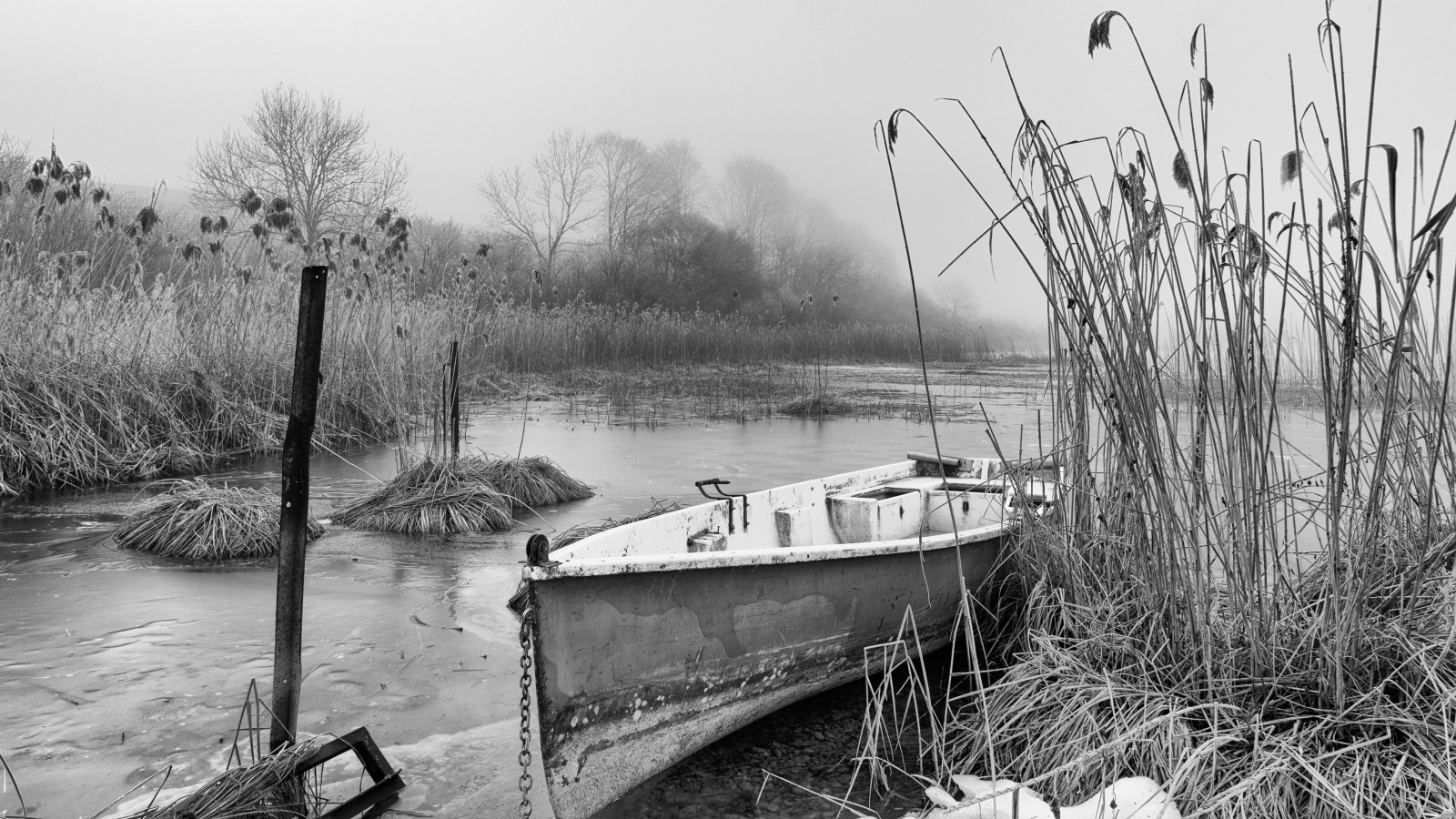 แนวนอน, ป่า, เรือ, ขาวดำ, ทะเลสาบ, น้ำ, ธรรมชาติ, การสะท้อน, ยานพาหนะ, พระอาทิตย์ขึ้น, เงียบสงบ, เช้า, หมอก, แม่น้ำ, Canon, บรรยากาศ, ฝรั่งเศส, เดี่ยว, คลอง, ธนาคาร, เซน, การจ่ายเงิน, พื้นที่ชุ่มน้ำ, เบา, ดำและขาว, ต้นไม้, หมอก, ปลูก, กลางแจ้ง, bw, ดำขาว, เช้ามืด, ช่อง, hiver, Montagne, อารเบีย, matin, noiretblanc, eos, brouillard, eau, foret, nb, ความโดดเดี่ยว, heuredor e, สภาพแวดล้อม, Noirblanc, lumiere, Froid, exterieur, eos5d, ก, beautifullight, campagne, กะลา, Calme, Sauvage, ทางน้ำ, ดำและขาว, ถ่ายภาพขาวดำ, ภูมิภาค, แฟรนไชส์, ที่ราบลุ่ม, r myb, bellelumi ใหม่, doubs, hautdoubs, lumi rematinale, morteau, mrmyz, lakersiverwater, fluvial landforms of streams