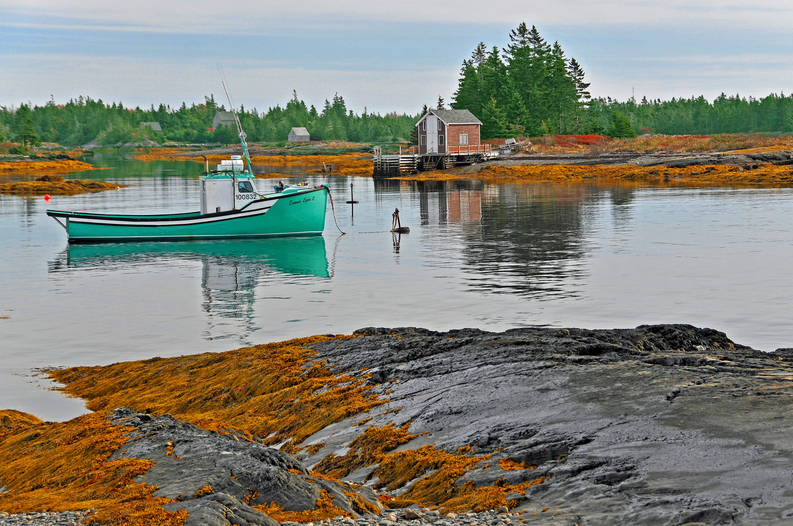 Landschaft, Boot, Meer, See, Wasser, Ufer, Betrachtung, Himmel, Fahrzeug, Holz, ruhig, Grün, Küste, Fluss, Nikon, Bank, Angeln, Frei, Seetang, Feuchtgebiet, Jarvis, Wolke, Baum, Wasserfahrzeug, Reservoir, D300, See, Wasserweg, Novascotia, Einlass, Stonehurst, Dennis, Ich bin Kanadier, Bluerocks, Dennisjarvis, Archer10, Dennisgjarvis, 18200vr, Schoonerscove