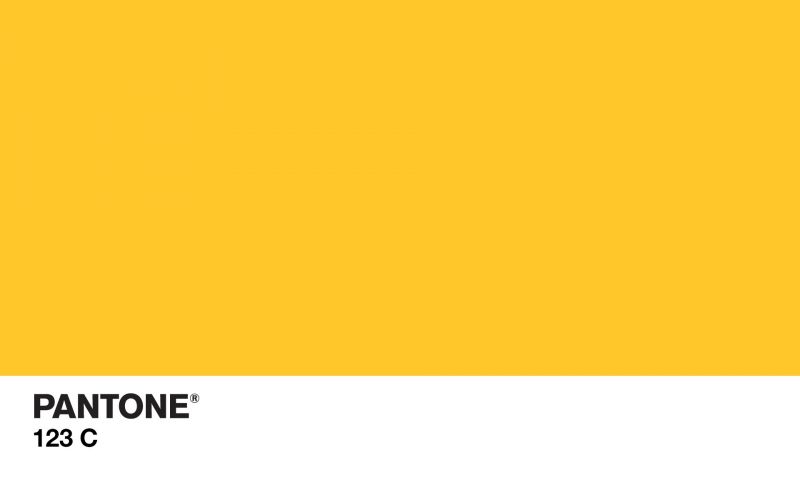 colorful, text, color codes, brand, yellow, circle colorful, text, color codes, brand, yellow, circle
