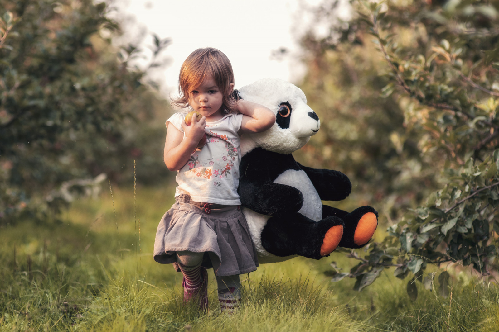 luce del sole, persone, giocattoli, ritratto, bambini, campo, mele, arancia, Nikon, panda, soleggiato, lente, primavera, Persona, pomeriggio, famiglia, frutteti, leggero, D750, d'oro, autunno, bambino, camminare, bambini, in ritardo, colore, divertimento, profondità, campagna, i campi, orso, sigma, Inglese, bambino piccolo, superficiale, coccolone