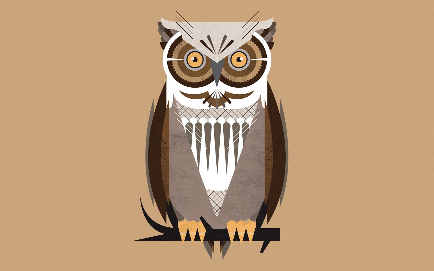 ilustrace, kreslená pohádka, dravý pták, sova, orel, pták, křídlo, obratlovců