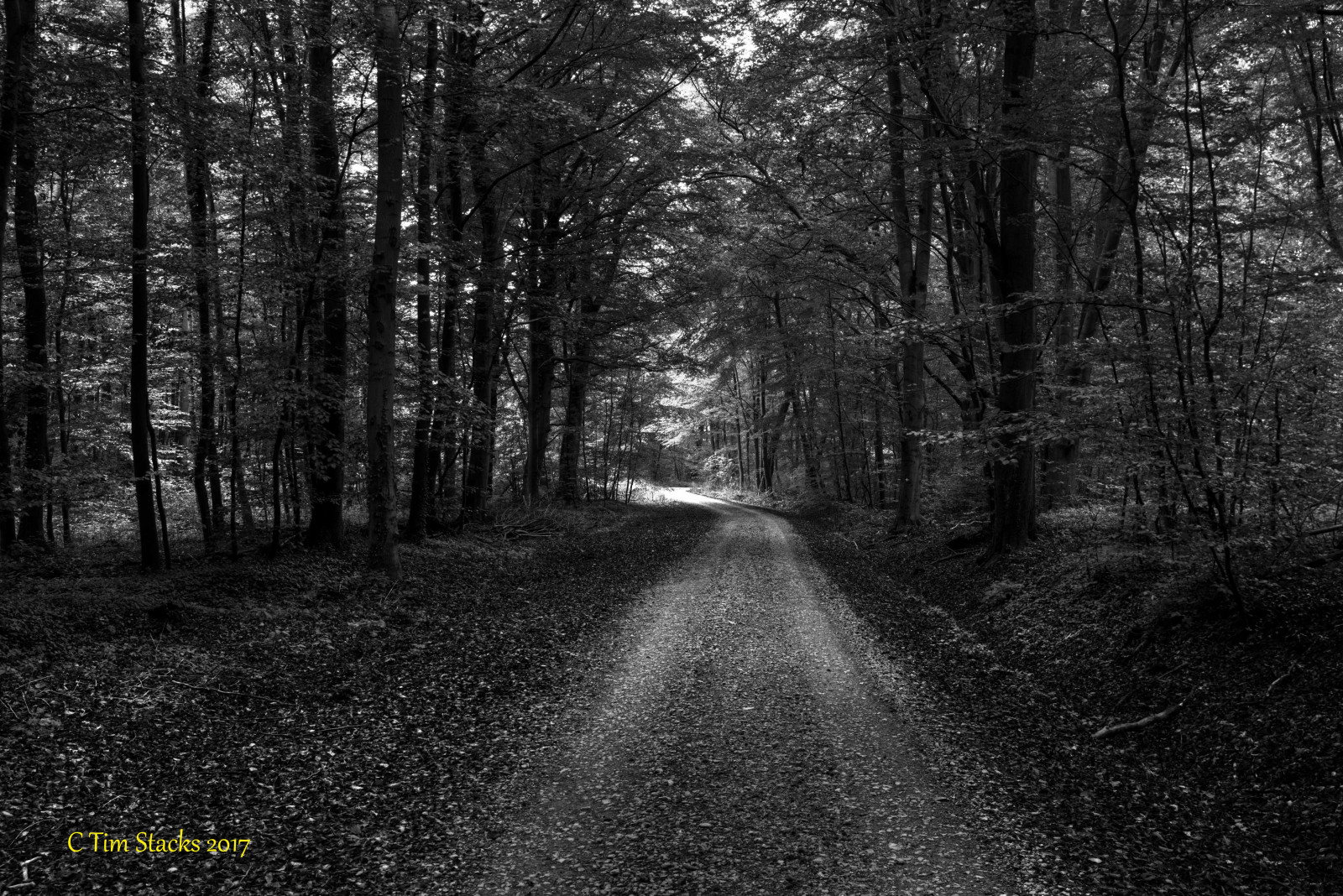 Německo, deutschland, hessen, Kassel, Habichtswald, krajina, les, cesta, venku