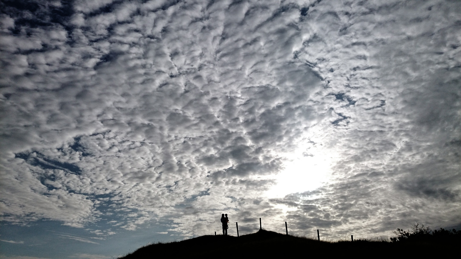 Nizozemí, Wadden, waddeneiland, duny, Sony, duna, nederland, Duinen, texel, eiland, dekoog, Koog, Kogerstrand, Sonyz1compact, Sonyz1xperiacompact