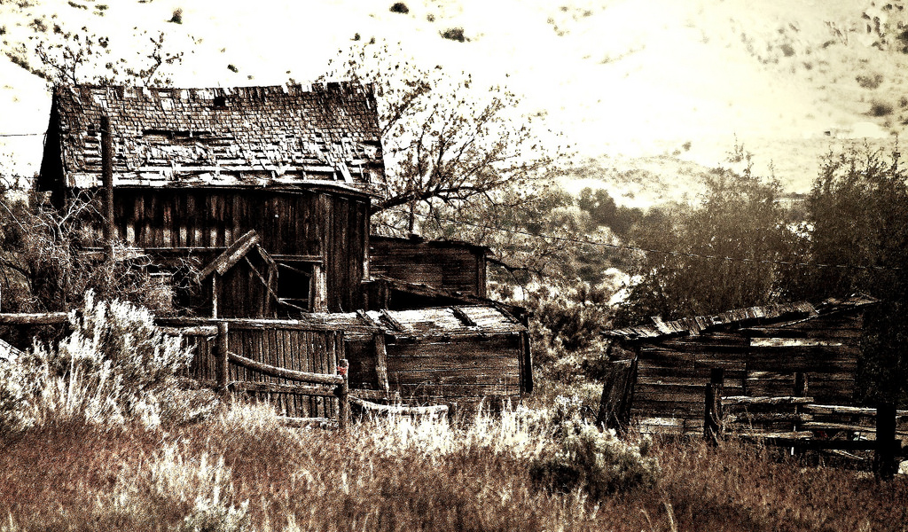 stromy, krajina, černobílý, voda, tráva, zima, dřevo, Dům, vesnice, chata, stodola, chata, plot, štětec, chatrč, strom, rostlina, budovy, domů, venkov, Černý a bílý, monochromatické fotografování, srub, picmonkey app editor, ronk