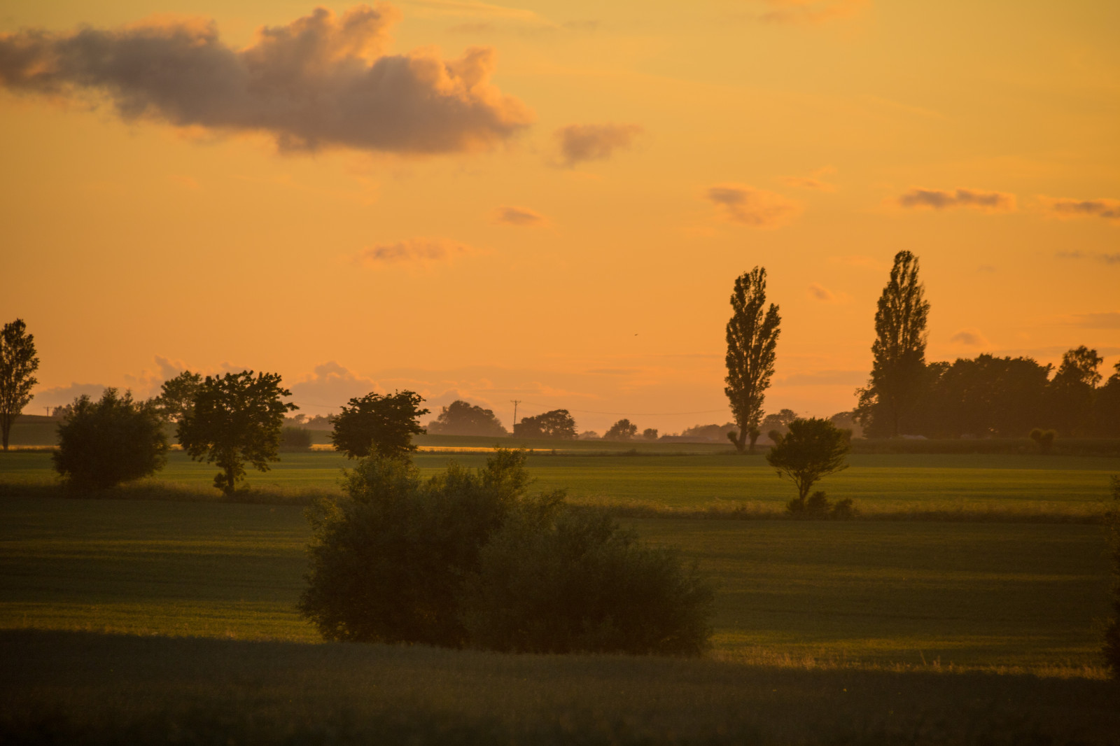 slunečnímu záření, krajina, západ slunce, kopec, Příroda, nebe, pole, svítání, večer, ráno, mlha, slunce, horizont, soumrak, slunce, mrak, strom, svítání, zlatá hodina, nebe, solnedg ng, venkov, moln, landsbygd, s dersl tt, landskap, exif modelu canoneos760d, geocountry, Kamera aby kánon, geocity, Model fotoaparátu canoneos760d, geostate, geolocation, EXIF čočka efs18200mmf3556is, EXIF otvor 56, exif focallength 200mm, exif aby kánon, EXIF isospeed 125, gyllenetimmen, zemědělství, prostý, prérie, venkov, atmosférický jev, odlesk, savana