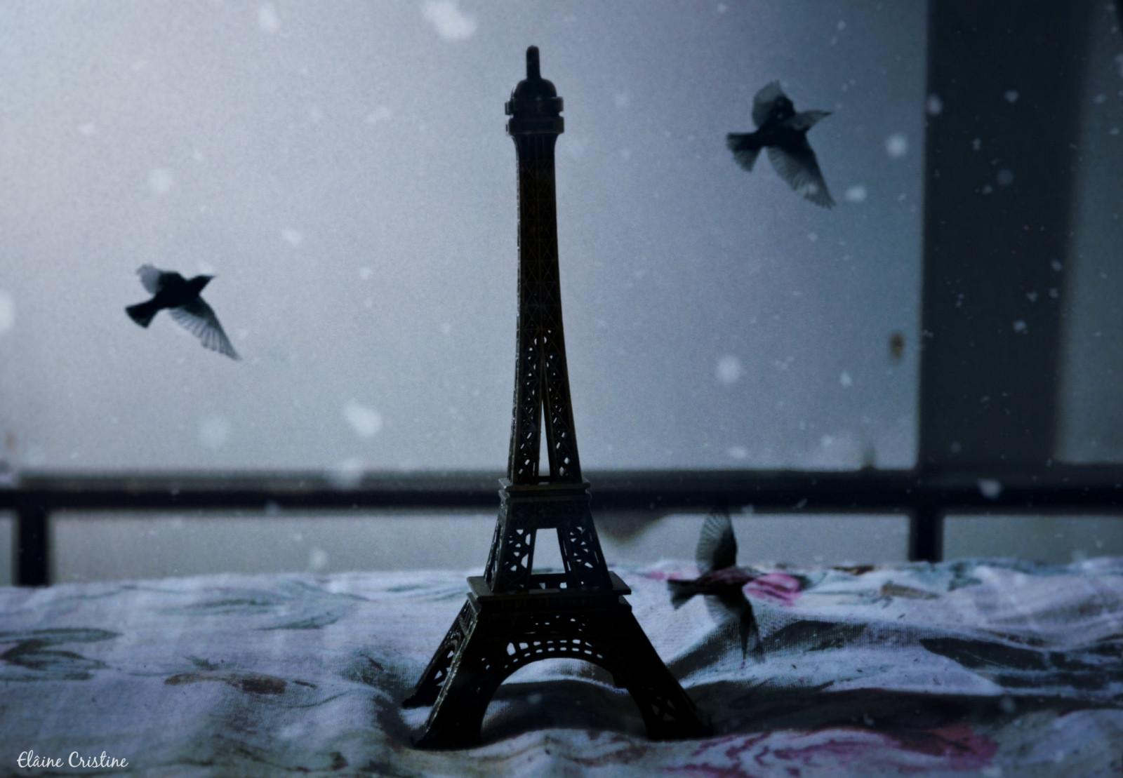 světlo, Paříž, UMĚNÍ, film, luz, ptactvo, Brasil, noc, vinobraní, slovo, ed, fotografování, Nikon, flickr, den, torre, fotky, amor, alma, kouzlo, cotidiano, Eiffelova, dia, dny, retro, Elaine, poesia, 365, recife, fotografia, inspirativní, choulostivý, lentes, Mundo, Sonho, Momentos, Silencio, detalhes, Inspira o, criativa, criative, delicada, brasilemimagens