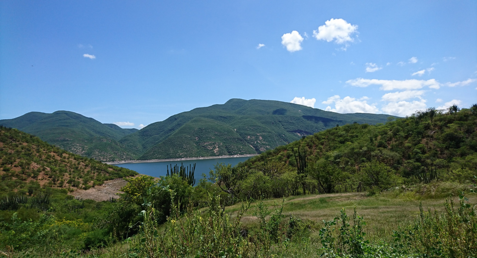 nebe, pláž, řeka, palmy, Příroda, Lazaro Cardenas, hory, jezero, práce, mraky, rostliny, písek, River mouth, Mexiko