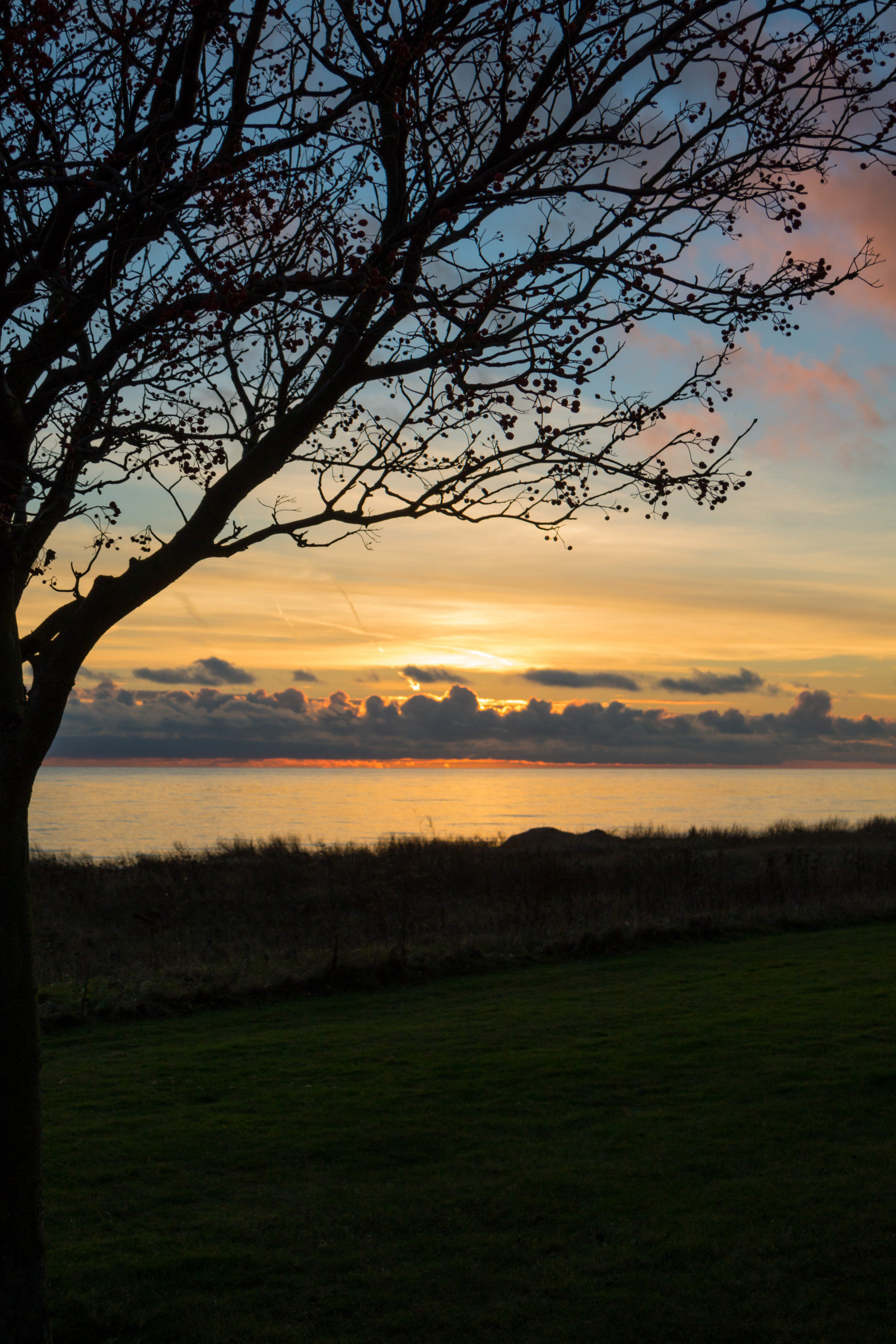 slunečnímu záření, krajina, západ slunce, moře, kopec, Příroda, odraz, tráva, nebe, pole, větev, svítání, večer, ráno, pobřeží, horizont, soumrak, mrak, strom, podzim, list, květ, svítání, rostlina, nebe, solnedg ng, tr d, hav, moln, Trelleborg, kust, exif modelu canoneos760d, geocountry, Kamera aby kánon, geocity, Model fotoaparátu canoneos760d, geostate, geolocation, EXIF čočka efs18200mmf3556is, exif aby kánon, EXIF isospeed 100, EXIF otvor 80, exif focallength 32mm, prostý, venkov, atmosférický jev, dřevina