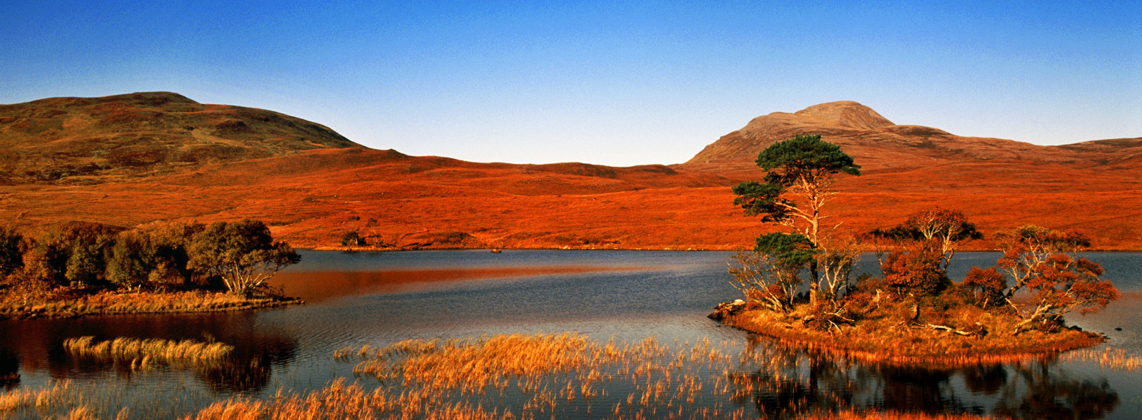 stromy, krajina, jezero, voda, odraz, nebe, modrý, panoráma, ostrov, národní park, údolí, divočina, soumrak, rákosí, plošina, Formace, podzim, hora, blinkagain, Davidson, vřes, Greig, jezero, Lochan, přírodní prostředí, geografický rys, ekosystém, vádí