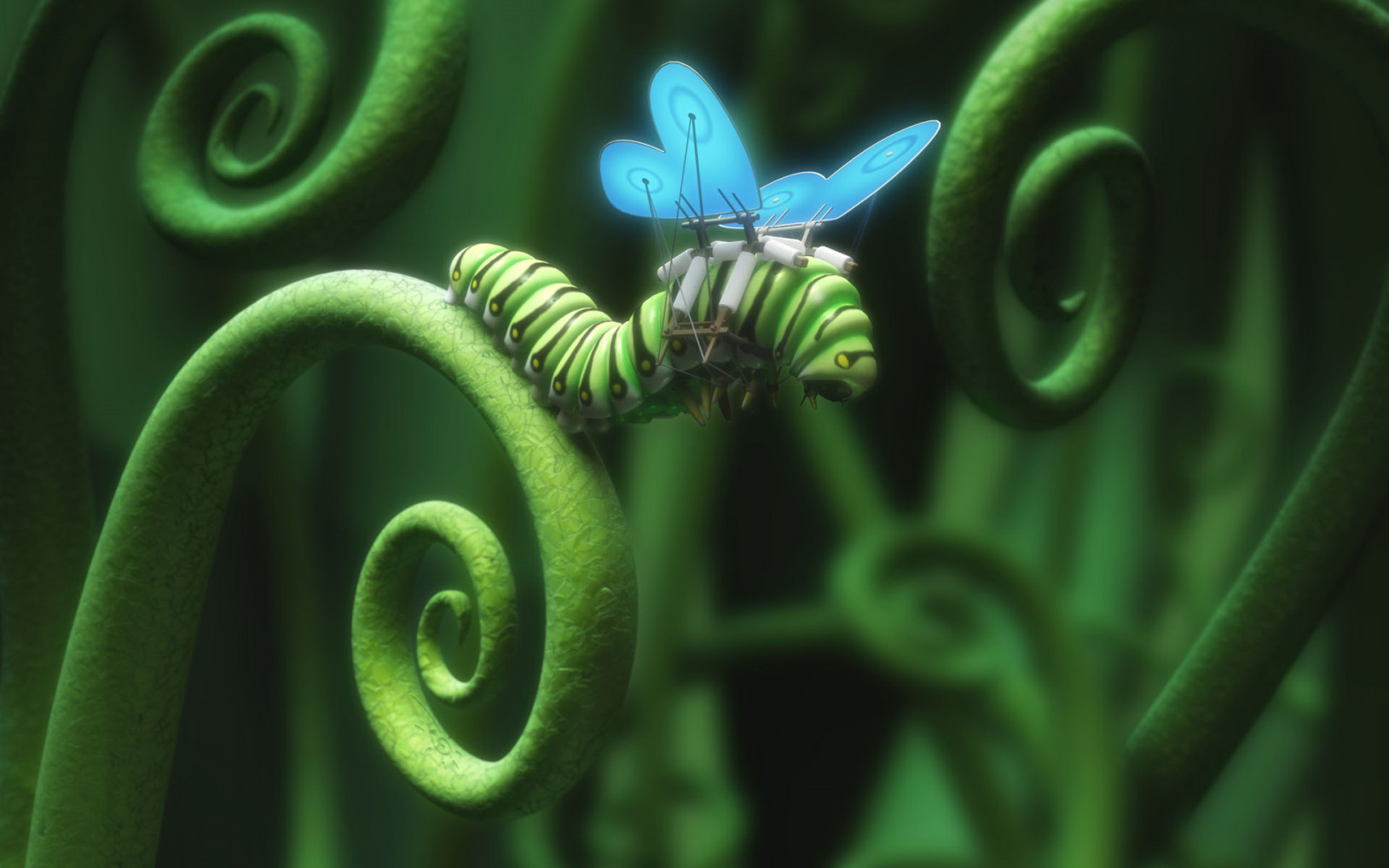 1920x1200 px, sommerfugl, larver, vinger