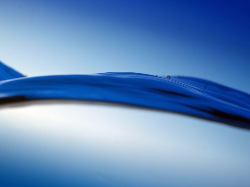 sunlight, reflection, sky, photography, plants, macro sunlight, reflection, sky, photography, plants, macro