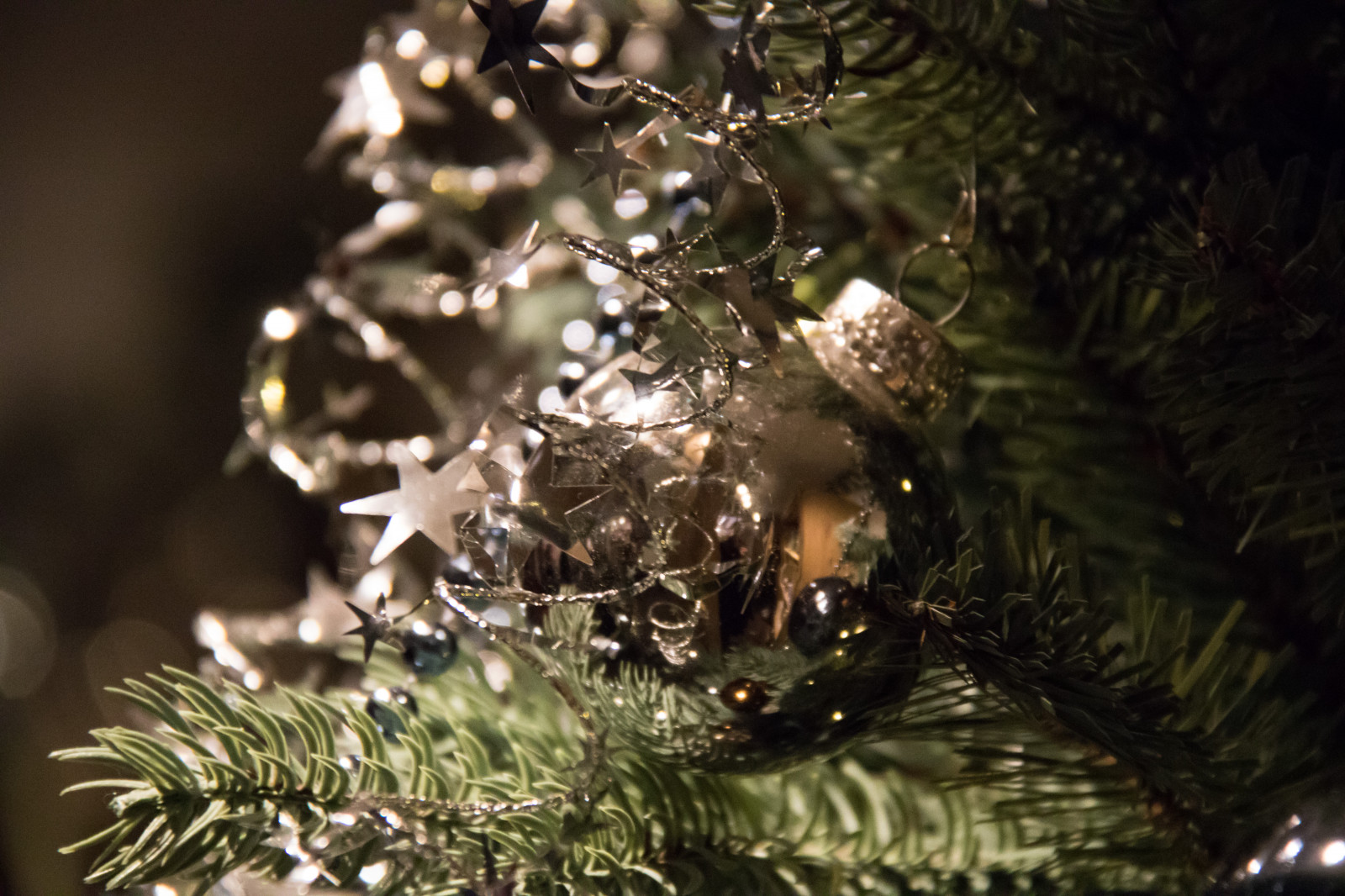 větev, smrk, Vánoční strom, Vánoce, jedle, ozdoby, strom, rostlina, Vánoce, vánoční strom, julgran, července, exif modelu canoneos760d, geocountry, Kamera aby kánon, geocity, Model fotoaparátu canoneos760d, geostate, geolocation, EXIF čočka efs18200mmf3556is, EXIF otvor 56, exif focallength 200mm, exif aby kánon, exif isospeed 6400, Vellinge, vellingeblomman, dekorationer, ornamnets, julgranspynt, větvička, dřevina, vánoční dekorace, makro fotografie