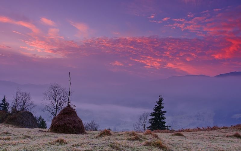 1920x1200 px,bidang,pemandangan,langit,jatuh,kabut