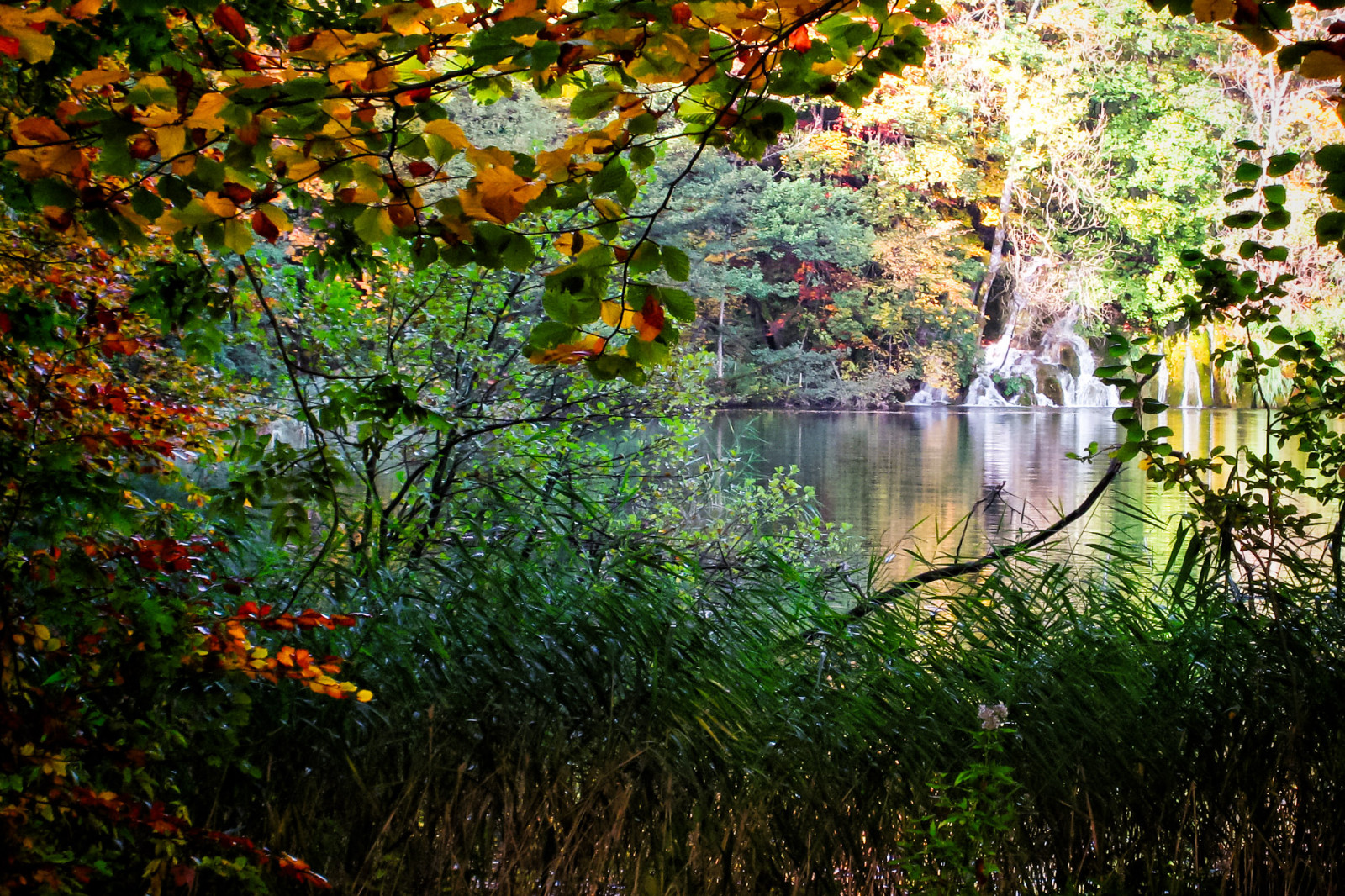 Landschaft, Wald, Garten, Wasser, Natur, Betrachtung, Gras, Ast, Fluss, Kanon, Teich, Strom, Frühling, Bank, Naturschutzgebiet, Feuchtgebiet, 2007, Farbe, Baum, Herbst, Blatt, Pflanze, Flora, Wasserlauf, Vegetation, Wald, Biome, Gewässer, Alter waldwald, Mäßiger Laub- und Mischwald, Abscheulich, Wasser-Funktion, Staatspark, Plitvice
