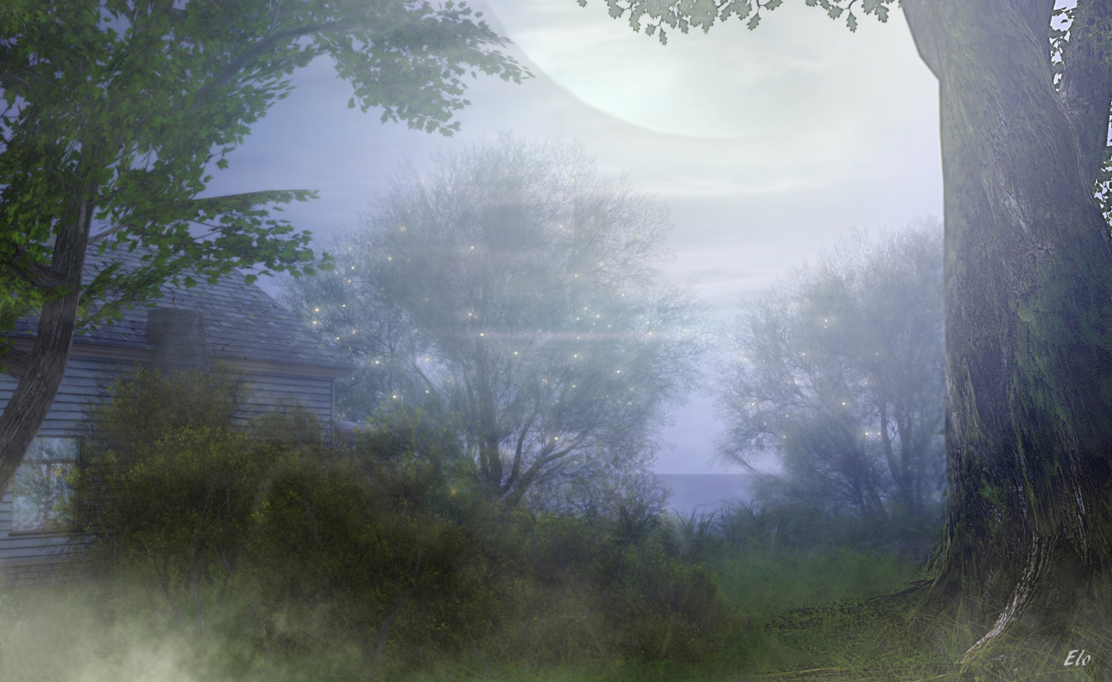 Güneş ışığı, orman, doğa, sabah, sis, 2015, Ağaç, sis, hava, ev, SL, ikinci hayat, Ormanlık alan, Elo, Elorak, Eloracpaule, yetişme ortamı, doğal çevre, Atmosferik fenomen, Çiselemek, Eloetbruno