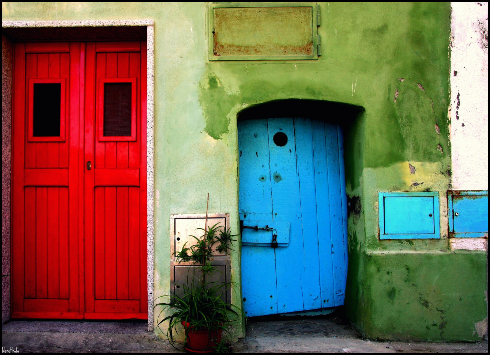 Červené, Itálie, zelená, barvy, Soe, globální vesnice, golddragon, abigfave, shieldofexcellence, colorphotoaward, ysplix, theunforgettablepictures, canon40d, colourartaward, artlegacy, theperfectphotographer, goldstaraward, lamiastoriafotografica, veterinarifotografi, dragongoldawaerd, nenephoto, damniwishidtakenthat, goldenvisions, goldenmasterpiece, photographia