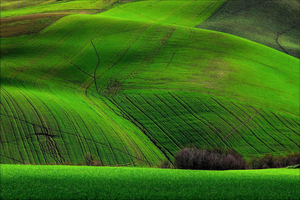 Itálie, verde, zelená, krajina, Nikon, scenérie, Italia, Drsný, země, Campagna, pole, Marche, paesaggio, Macerata, campi, d90, Cantagallo, Pollenza, mygearandme, mygearandmepremium, mygearandmebronze, mygearandmesilver, mygearandmegold, mygearandmeplatinum, mygearandmediamond